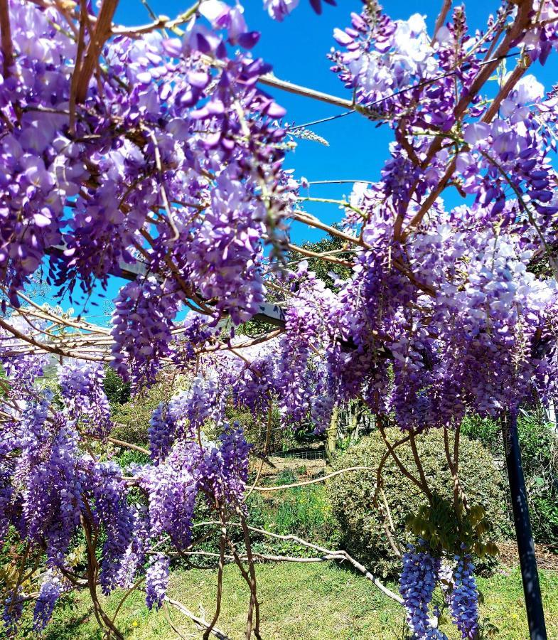 Casa Vacanza Il Glicine Casale Corte Cerro Buitenkant foto